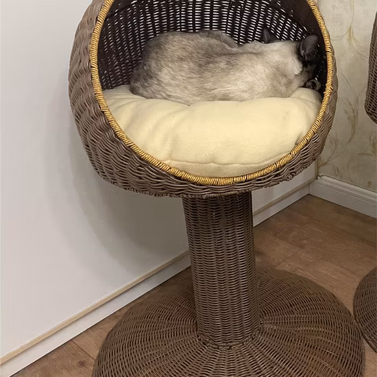 Nido de gato moderno Marco de escalada para gatos Poste de rascado para gatos integrado