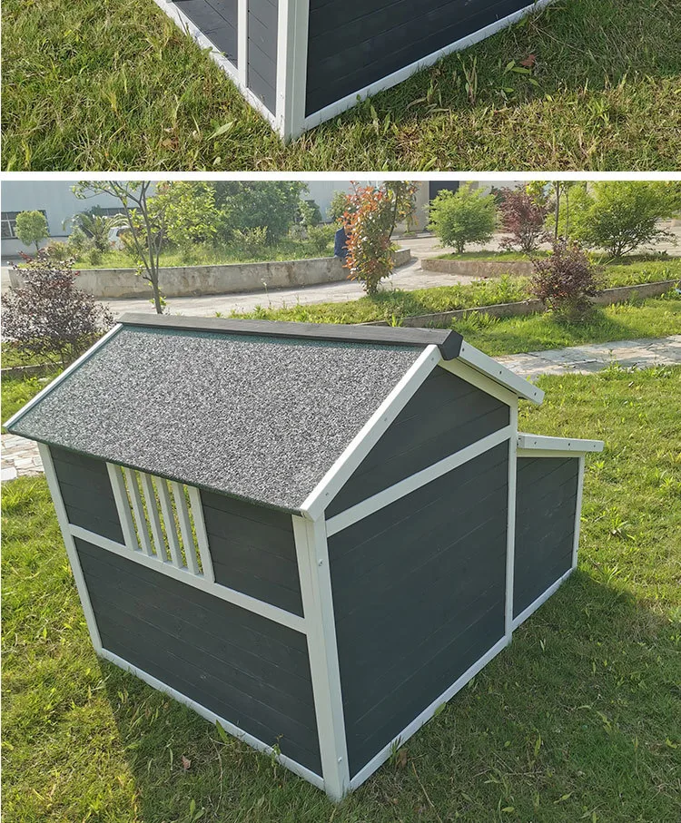 Dog House