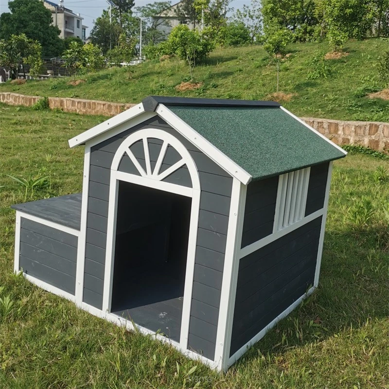 Dog House